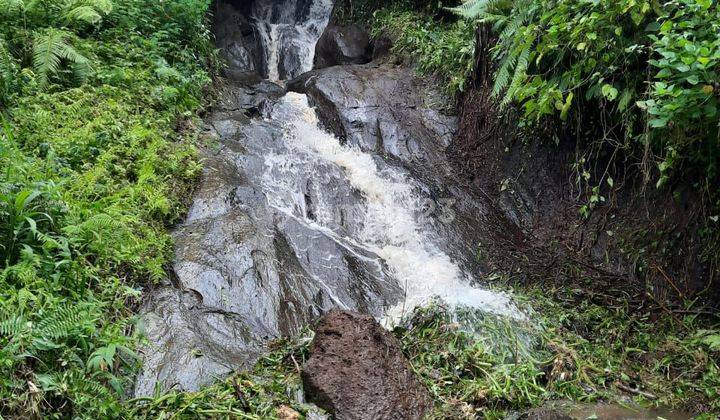 LAND OF COOL JUNGLE RIVER WATERFALL VIEW IN UBUD AREA  2