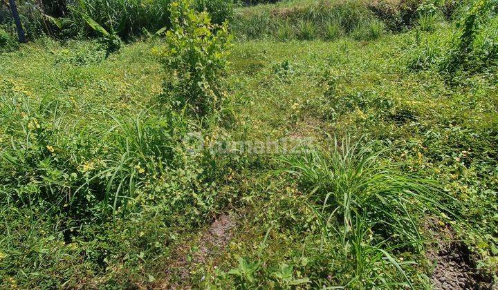 TANAH DEKAT PANTAI SABA DAN RS KASIH IBU SABA HARGA MURAH  2