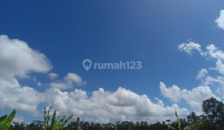 Tanah View Sawah Cantik Lingkungan Villa Harga Murah  1