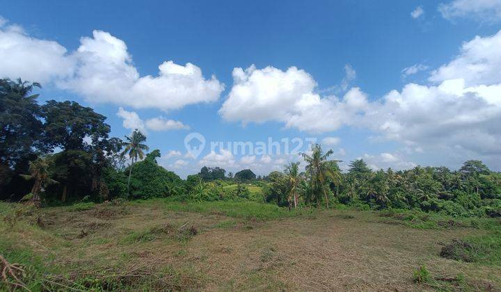 TANAH VIEW JUNGLE LEMBAH COCOK VILLA RENTAL DI UBUD  1