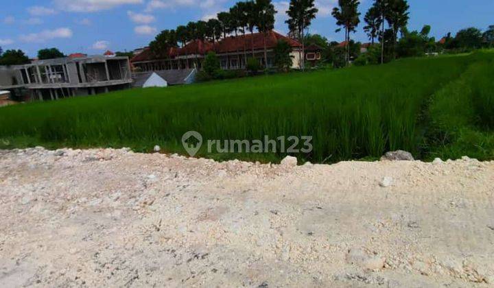 TANAH KAVLING VIEW SAWAH UKURAN KECIL DI CANGGU  1