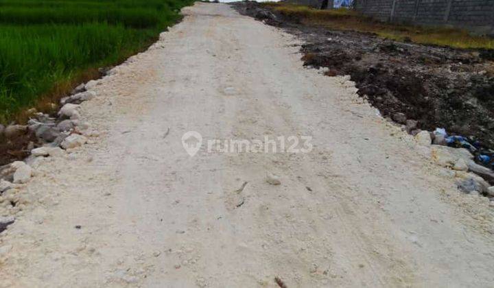 TANAH KAVLING VIEW SAWAH UKURAN KECIL DI CANGGU  2