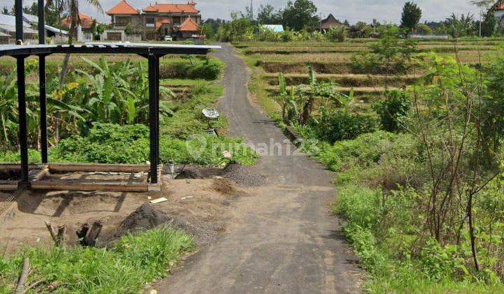 TANAH KAVLING MURAH DI MAS UBUD DEKAT KE CENTER UBUD  1