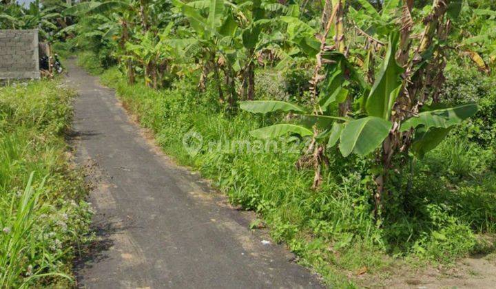 TANAH KAVLING MURAH DI MAS UBUD DEKAT KE CENTER UBUD  2