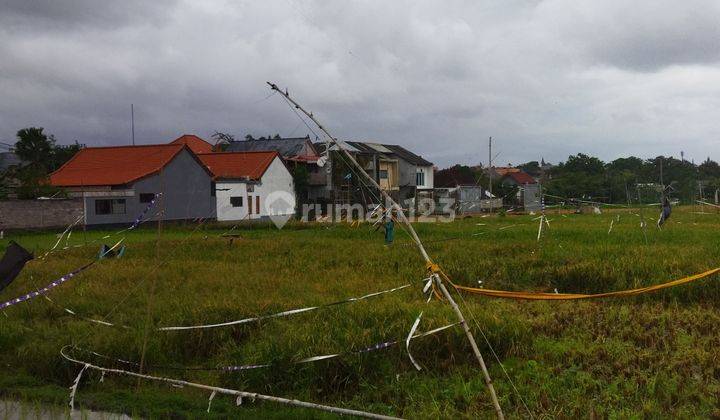 BEAUTIFUL VIEW LAND WITH CHEAP PRICE IN UMALAS Bumbak 2