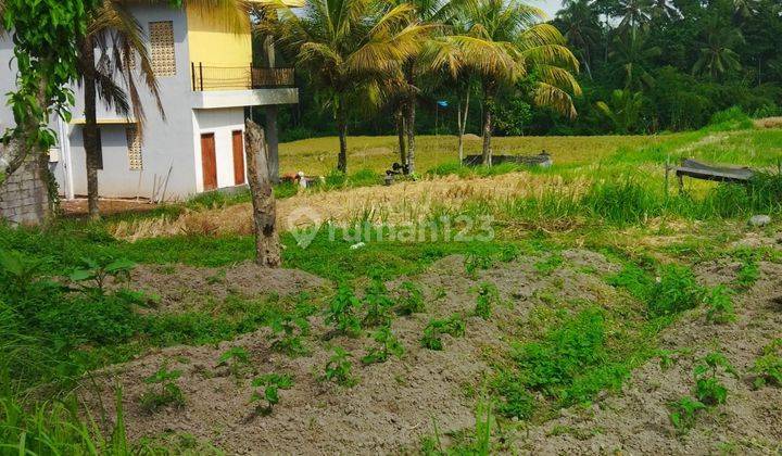 TANAH VIEW SAWAH CANTIK LINGKUNGAN VILLA SIAP BANGUN 1