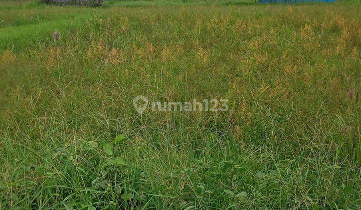 LAND READY TO BUILD VILLA RENTAL IN KEMENUH UBUD  2