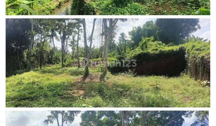 TANAH VIEW SUNGAI DAN JUNGLE KEREN HARGA MURAH DEKAT UBUD  2