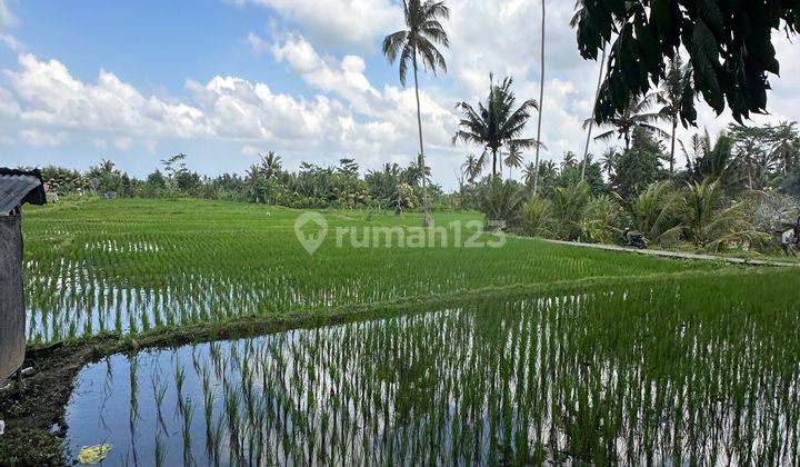 TANAH SEWA VIEW SAWAH SUPER CANTIK COCOK VILLA RENTAL 1