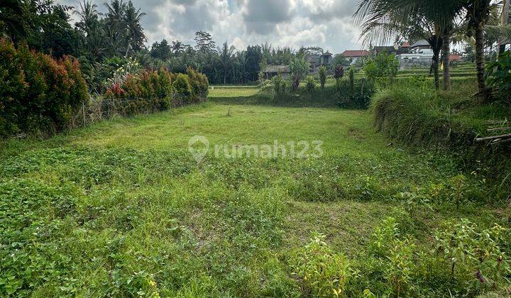 LAND READY TO BUILD SUPER BEAUTIFUL ABADI RICE VIEW VILLA 1