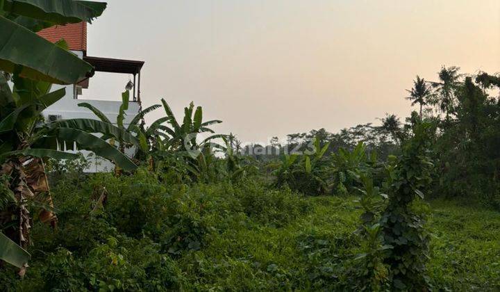 TANAH SEWA VIEW SAWAH DEKAT KE CENTRAL UBUD 1