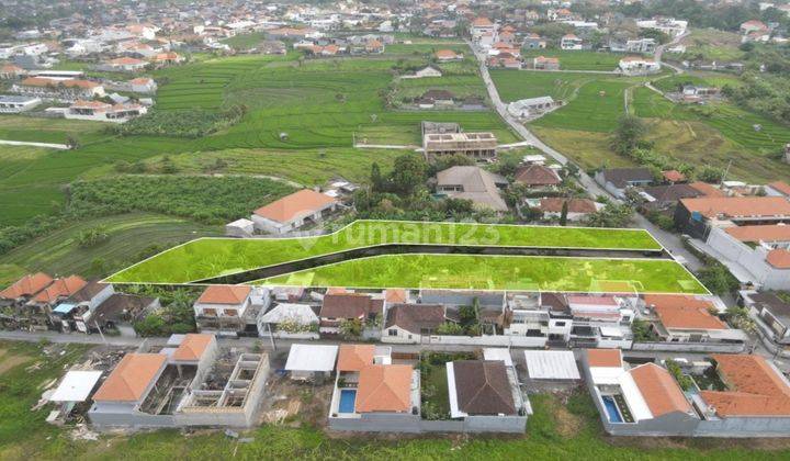 Tanah Zona Kuning Dekat Pantai Berawa View Sawah