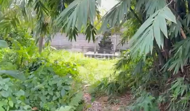 Affordable Land in Kemenuh Suitable for Villa, Yellow Zone, Ready to Use