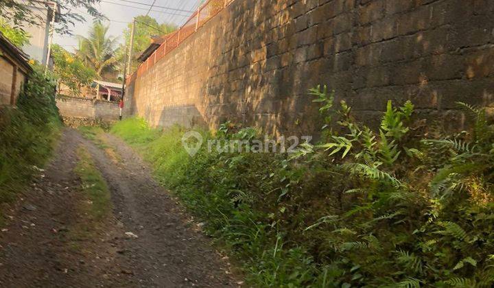 TANAH ZONA KUNING SIAP BANGUN VILLA RENTAL DI UBUD AREA  1