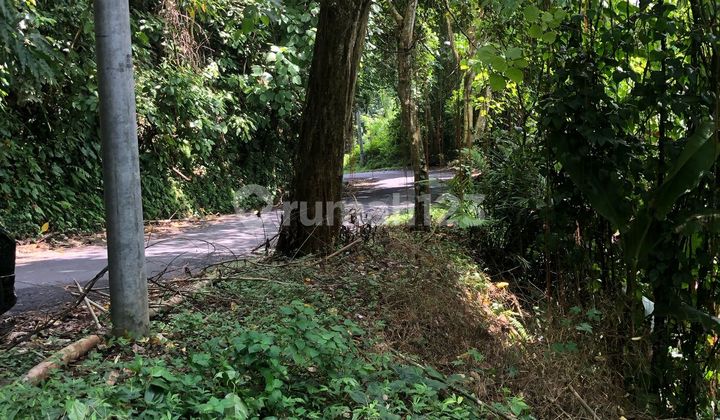 Tanah Super Murah Pinggir Jalan Utama Sebelah Maya Ubud