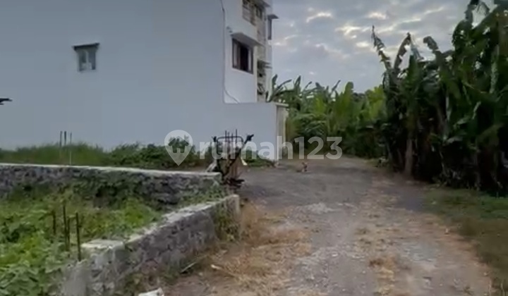 Tanah Siap Bangun View Sawah Tumbak Bayuh Canggu Area