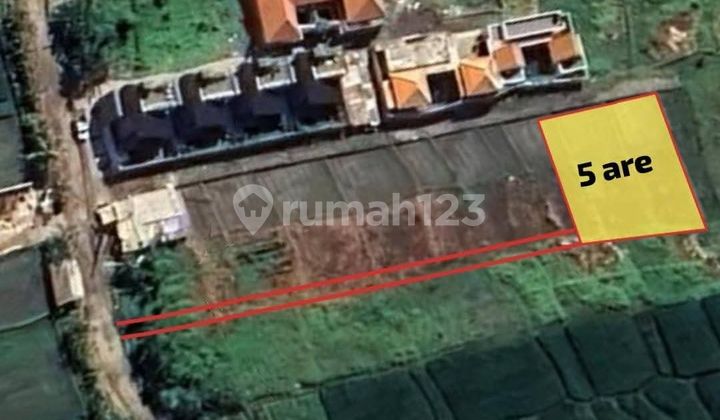 Jual Tanah Di Pantai Seseh Bagus Strategis Bisa Sewa Jual Tanah Di Pantai Seseh Bagus Strategis Bisa Sewa