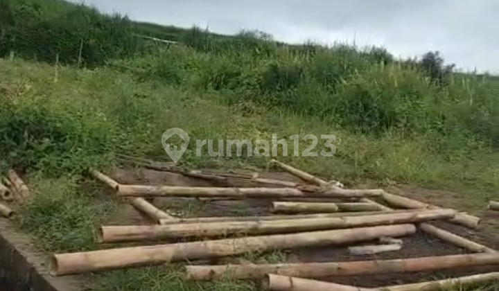 Land view of rice fields, suitable for private villas, quiet location near the city. Land view of rice fields, suitable for private villas, quiet location near the city.