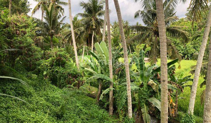 Tanah Sangat Bagus Cocok Komplek Villa Atau Hotel 2