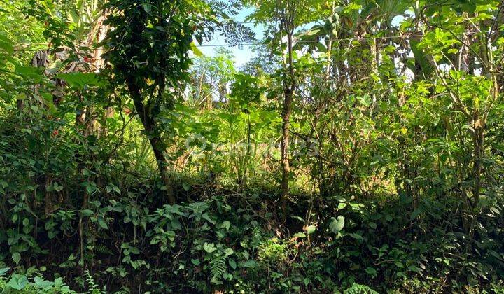 TANAH ZONA KUNING SIAP BANGUN VILLA VIEW SAWAH 1