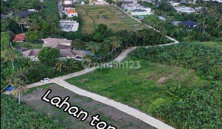 Tanah Murah Di Tumbak Bayuh Canggu Area Dekat Pantai 1