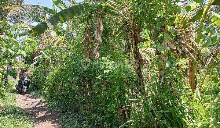 TANAH ZONA KUNING DEKAT KE CENTRAL UBUD HARGA MURAH 1