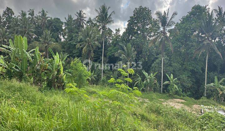 Land View River Forest Waterfall Small Cool In Central Ubud 1