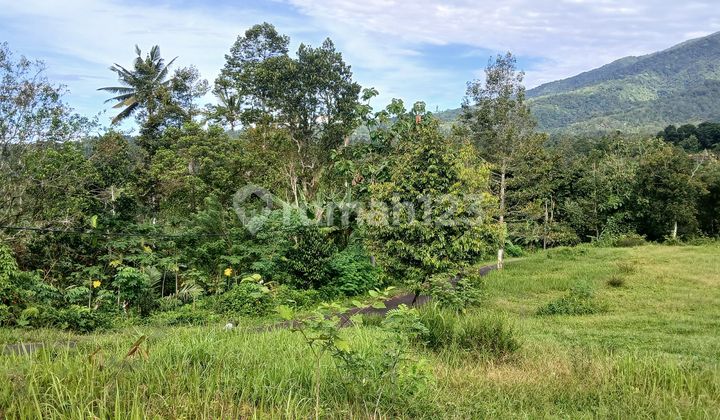60jt Per Are View Gunung Lembah Tanah Datar Jalan Aspal  2