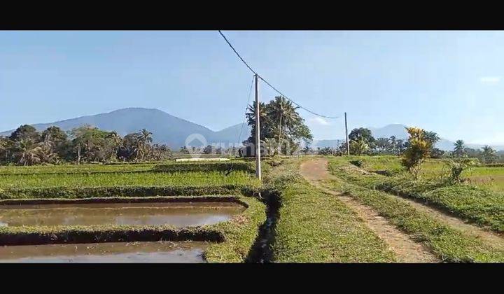 TANAH VIEW KEREN DI PENEBEL HARGANYA MURAH 2