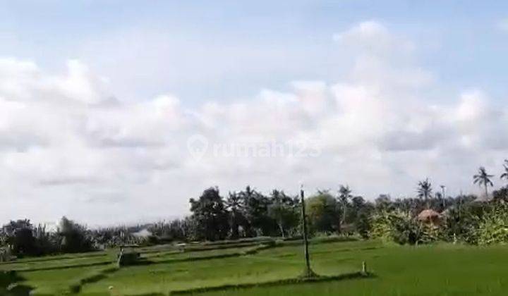 LAND FOR RENT WITH RICE FIELD AND MOUNT AGUNG VIEW 2