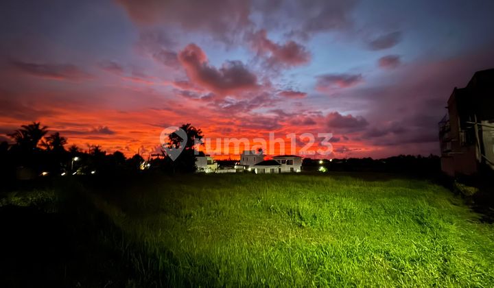 Di Sewa Kan Tanah Murah Strategis Pantai Nyanyi Di Sewa Kan Tanah Murah Strategis Pantai Nyanyi