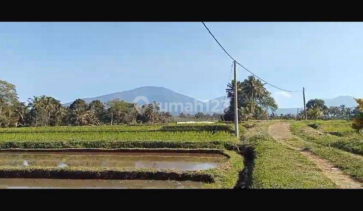 TANAH VIEW KEREN DI PENEBEL HARGANYA MURAH 1