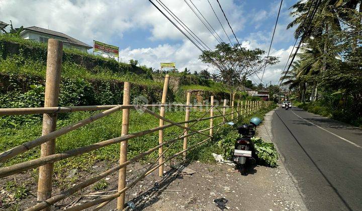 Tanah Cocok Bisnis Restoran Cafe Gym Pinggir Jalan Ubud 2