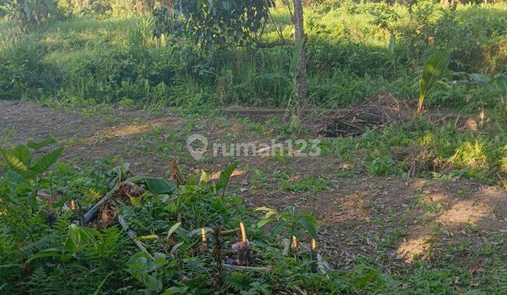 LAND FOR RENT WITH RIVER AND FOREST VIEW CHEAP PRICE  1