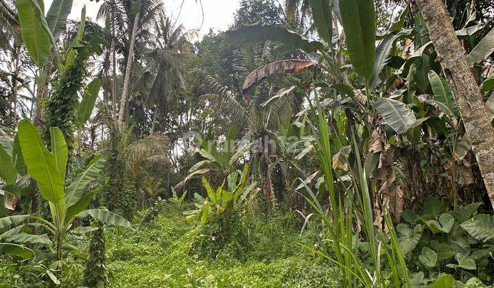 Tanah View Sungai Hutan Keren Dekat Central Ubud Siap Bangun 1