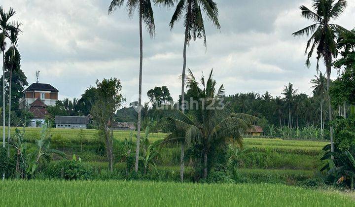 Tanah Zona Kuning View Sawah Keren Lingkungan Vila 1