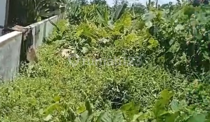 Tanah Murah Central Ubud Jl Motor Lingkungan Villa
