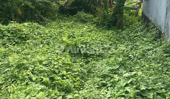 Yellow Zone Land Near Canggu Suitable for Student Villa Yellow Zone Land Near Canggu Suitable for Student Villa