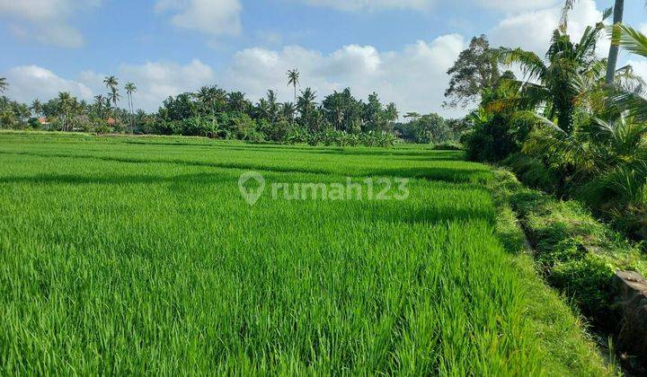 PINK ZONE LAND SUITABLE FOR VILLA RENTAL BEAUTIFUL VIEW 2