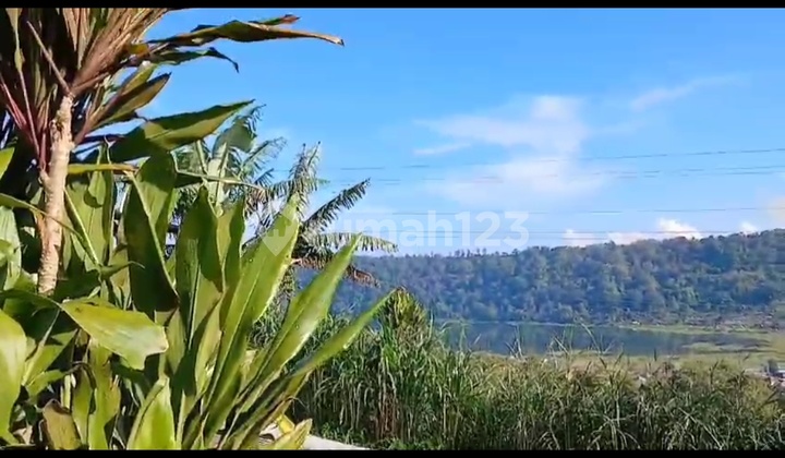 Beautiful Lake Buyan View Land Suitable for Villa Glamping Camping
