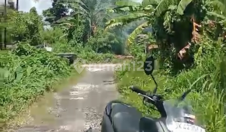 Tanah Siap Bangun Tedung Kota Gianyar Zona Kuning Tanah Siap Bangun Tedung Kota Gianyar Zona Kuning