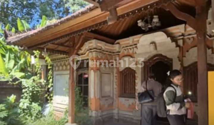 Jual Tanah Bonus Rumah Di Denpasar Timur Trengguli Jual Tanah Bonus Rumah Di Denpasar Timur Trengguli