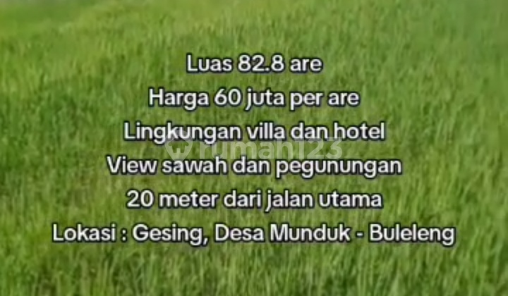 Tanah Cocok Investasi View Bagus Harga Murah Munduk 