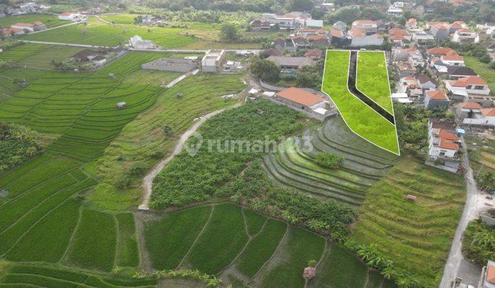 Tanah Zona Kuning Dekat Pantai Berawa View Sawah