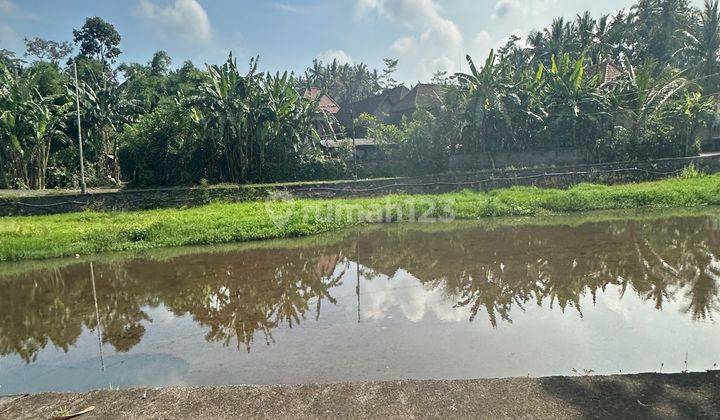 Tanah View Sungai Hutan Cocok Kavling Atau Komplek Villa 1