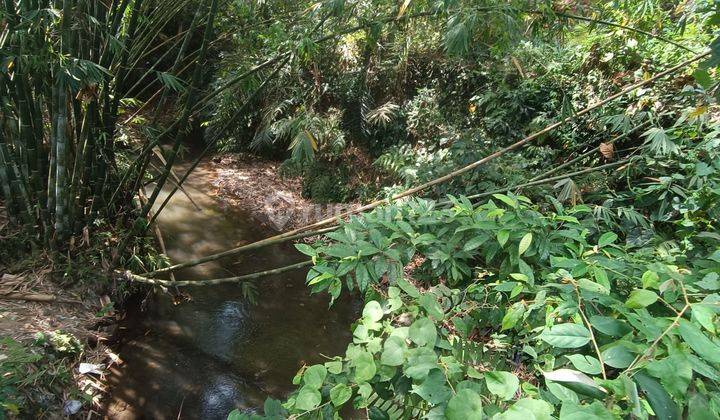 TANAH VIEW SUNGAI DAN HUTAN ZONA KUNING TERMURAH  2