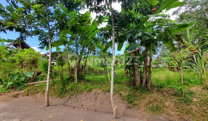 Tanah Murah Dekat Centre Ubud Siap Bangun Villa Tanah Murah Dekat Centre Ubud Siap Bangun Villa