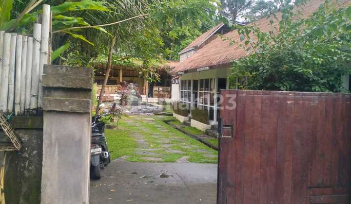 Dijual Tanah Murah Di Petulu Gianyar Bagus Dan Strategis