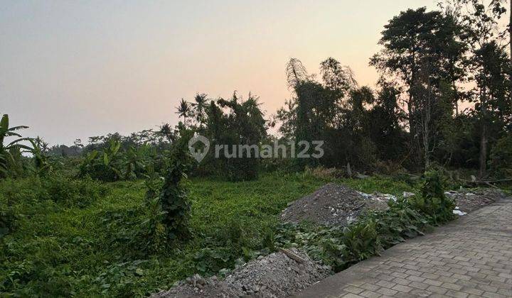 TANAH SEWA VIEW SAWAH DEKAT KE CENTRAL UBUD 2