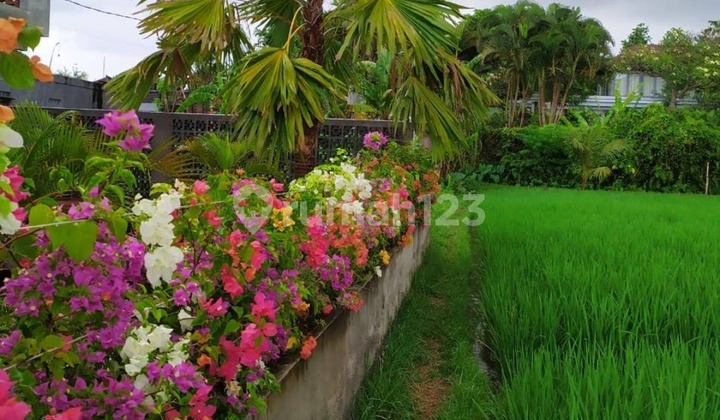 Super Cheap Great View for Private Villas Only Super Cheap Great View for Private Villas Only